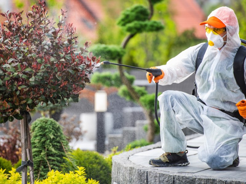 Karahallı Haşere İlaçlama